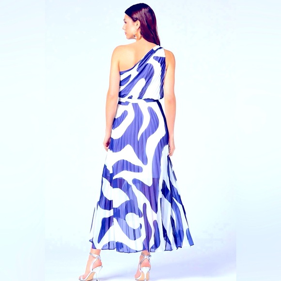 Caché Pleated Maxi Dress - Picture 3 of 5